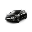 C4 CACTUS