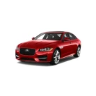 XF